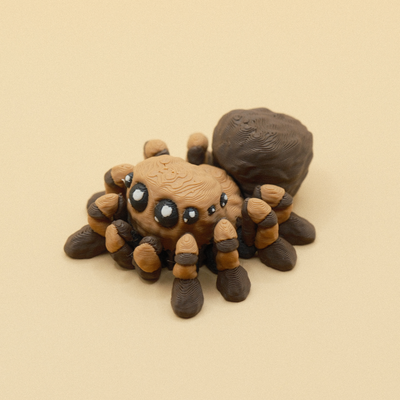 Spider Magnet