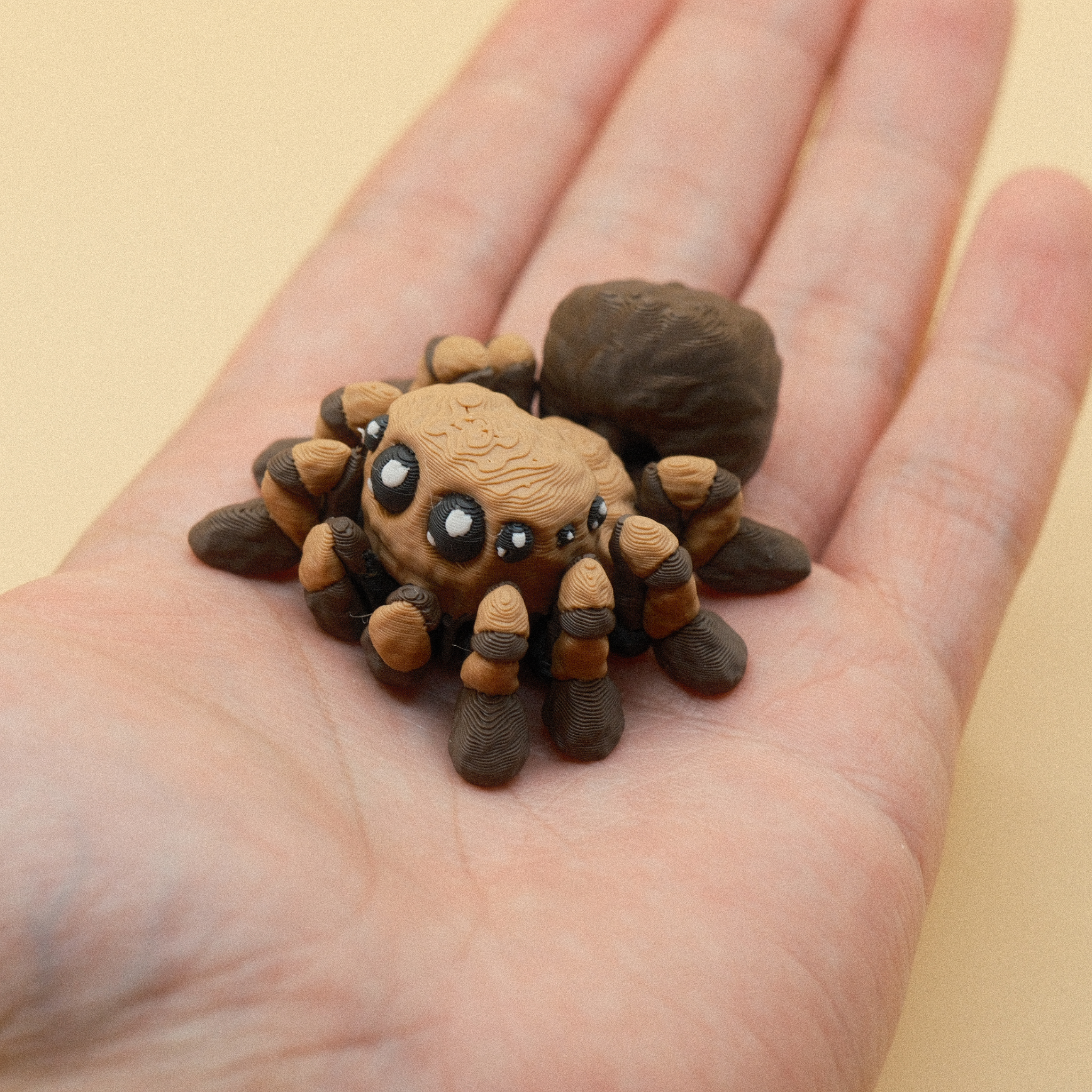 Spider Magnet