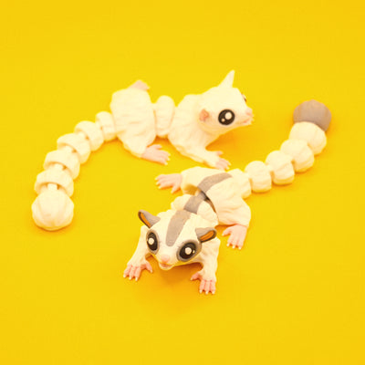 Sugar Glider