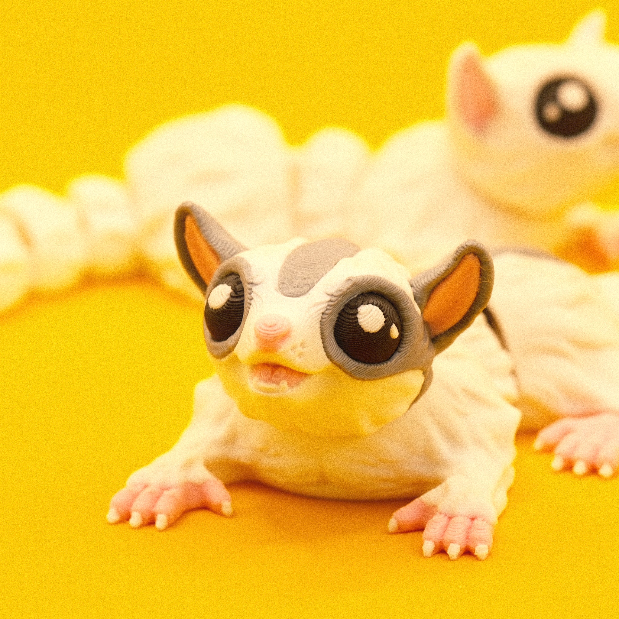 Sugar Glider
