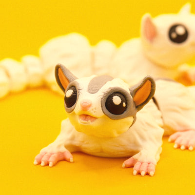 Sugar Glider