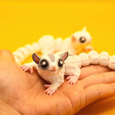Sugar Glider