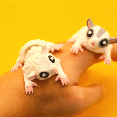 Sugar Glider
