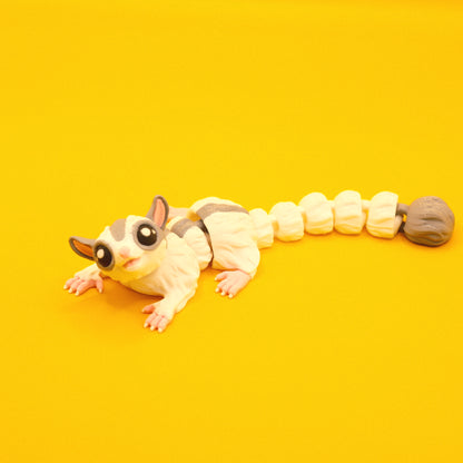 Sugar Glider