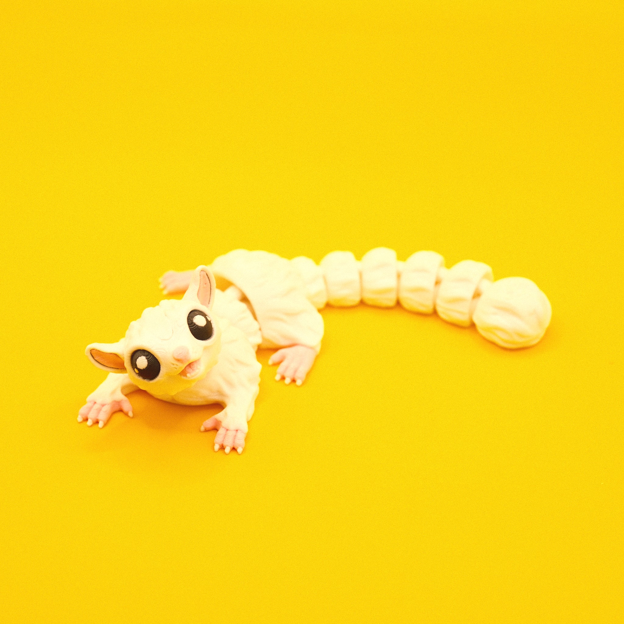 Sugar Glider