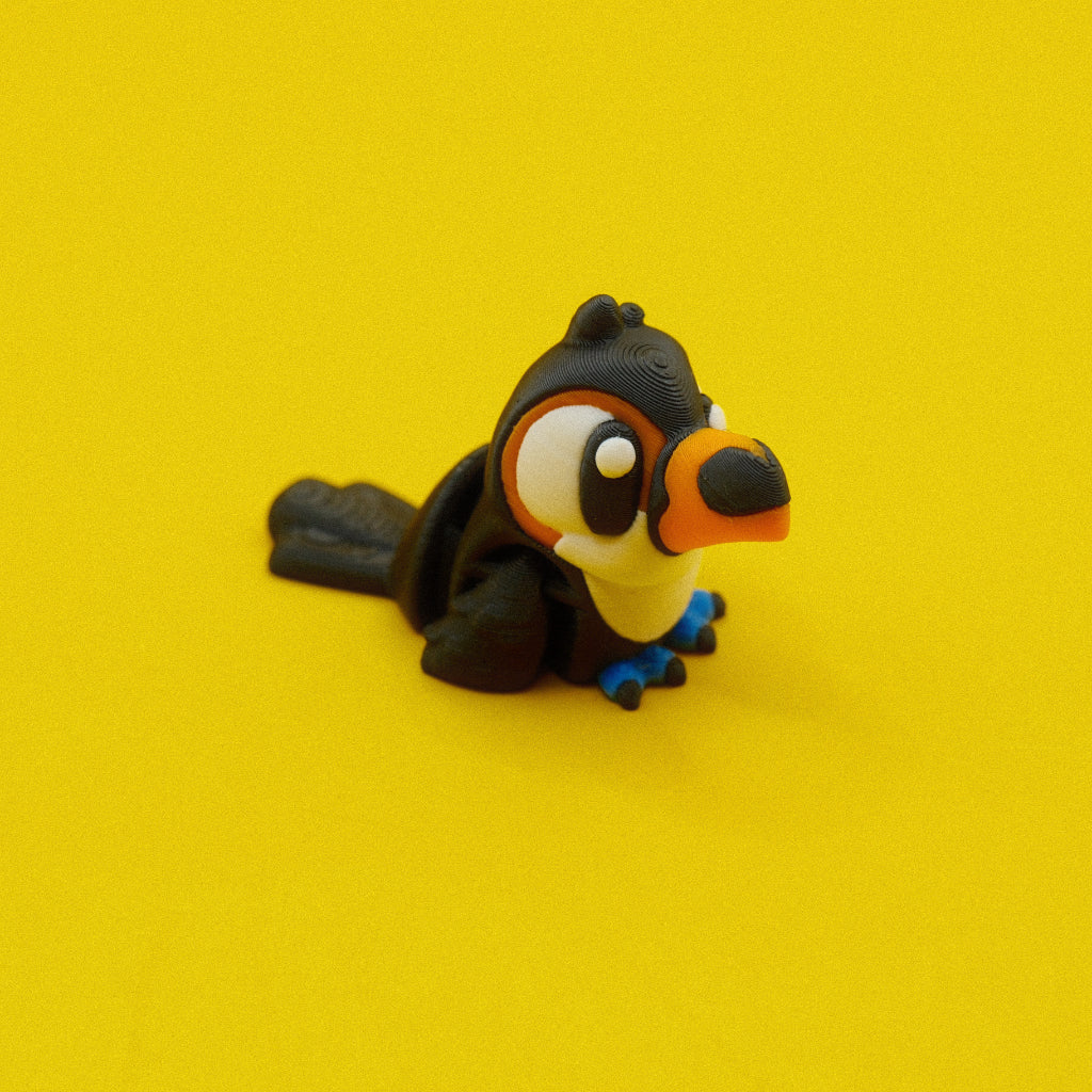 Toucan