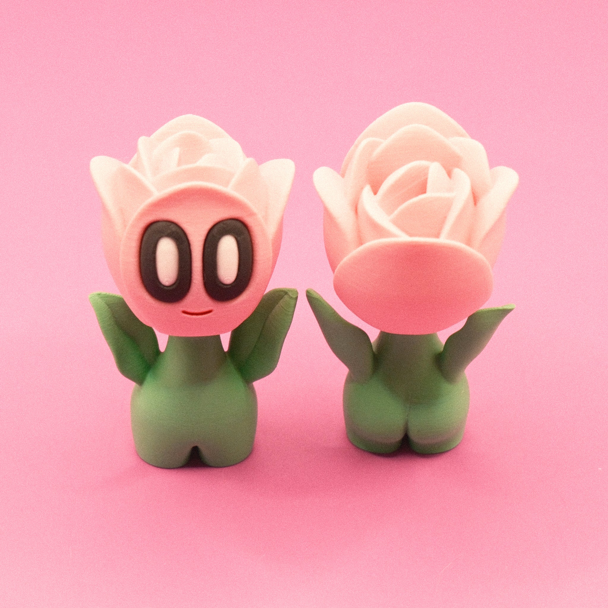 Tulip