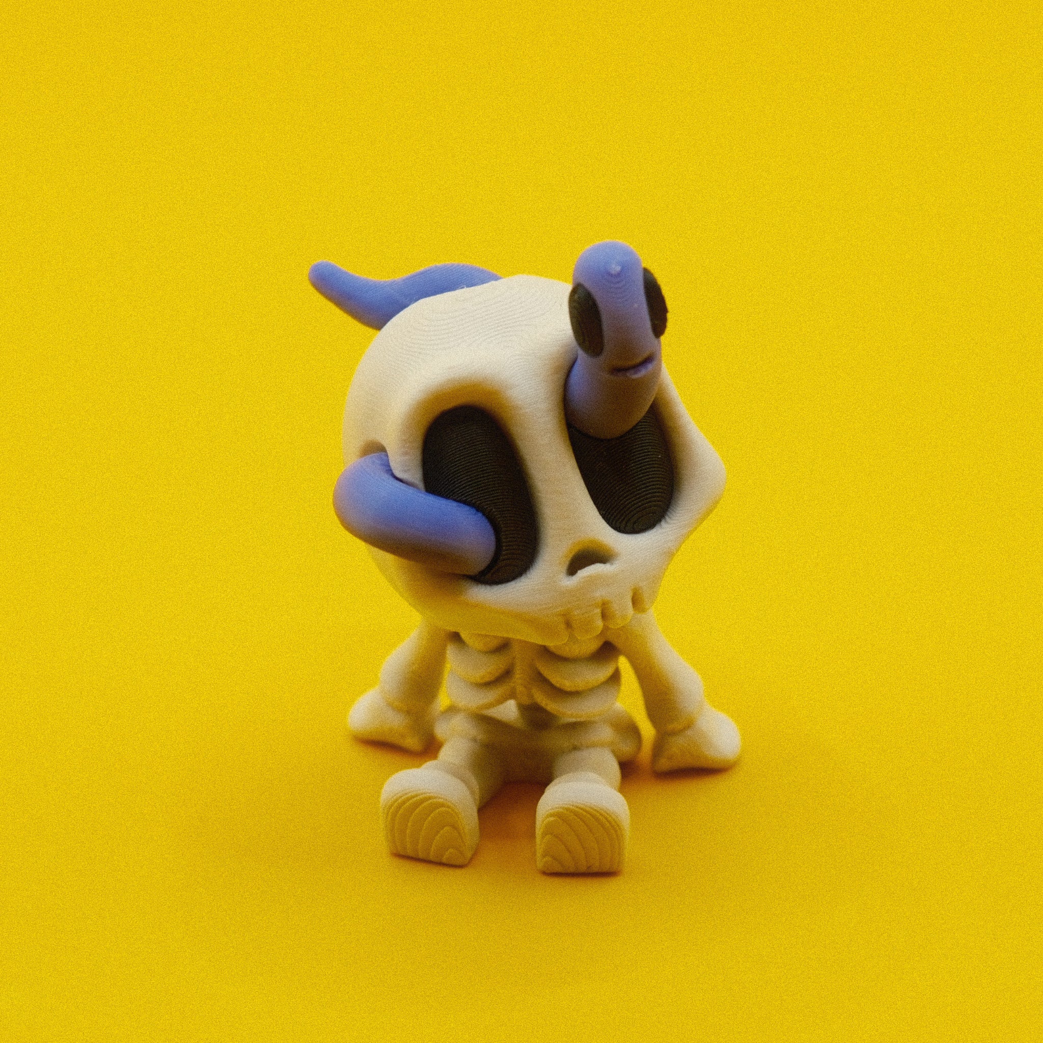 Worm Skeleton