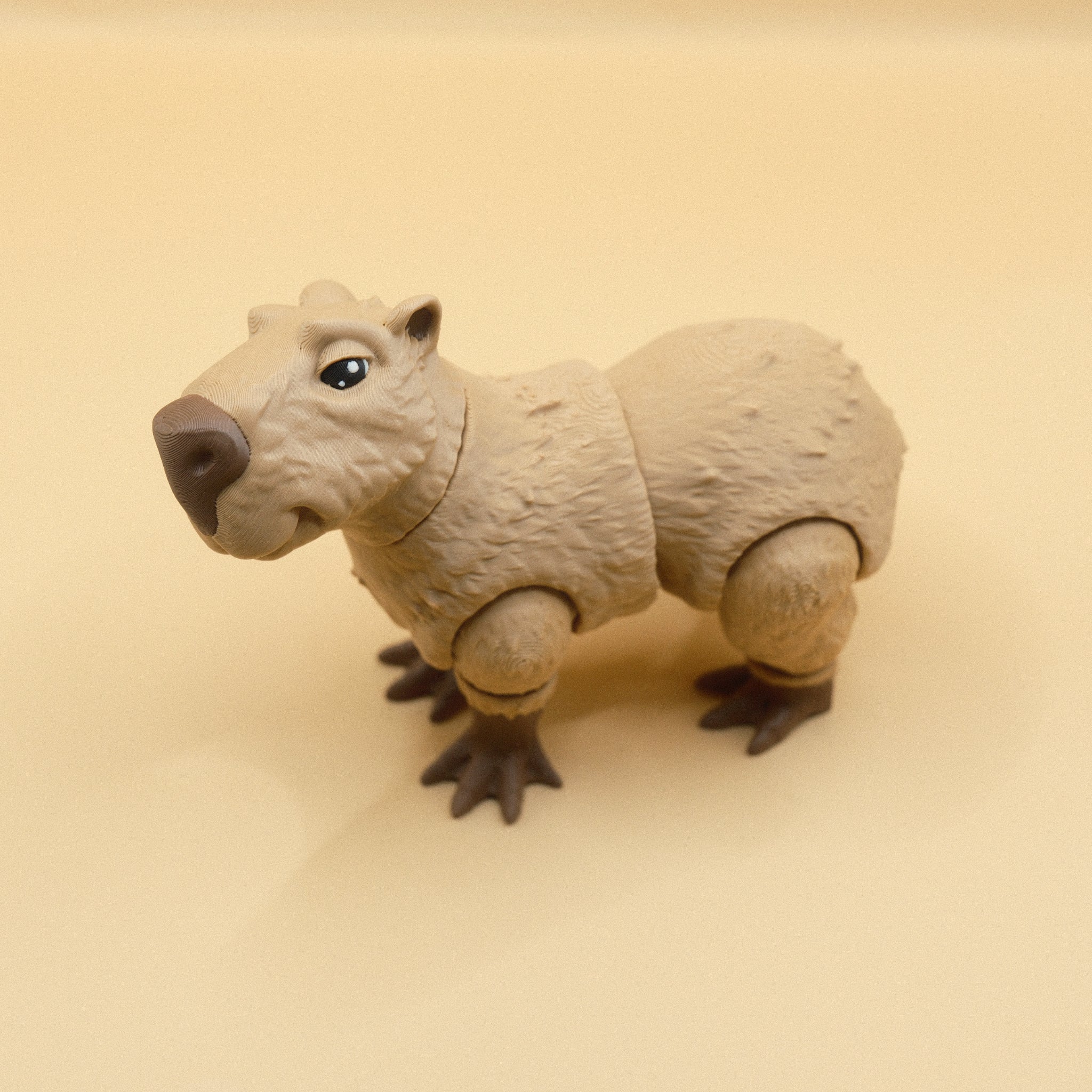Capybara