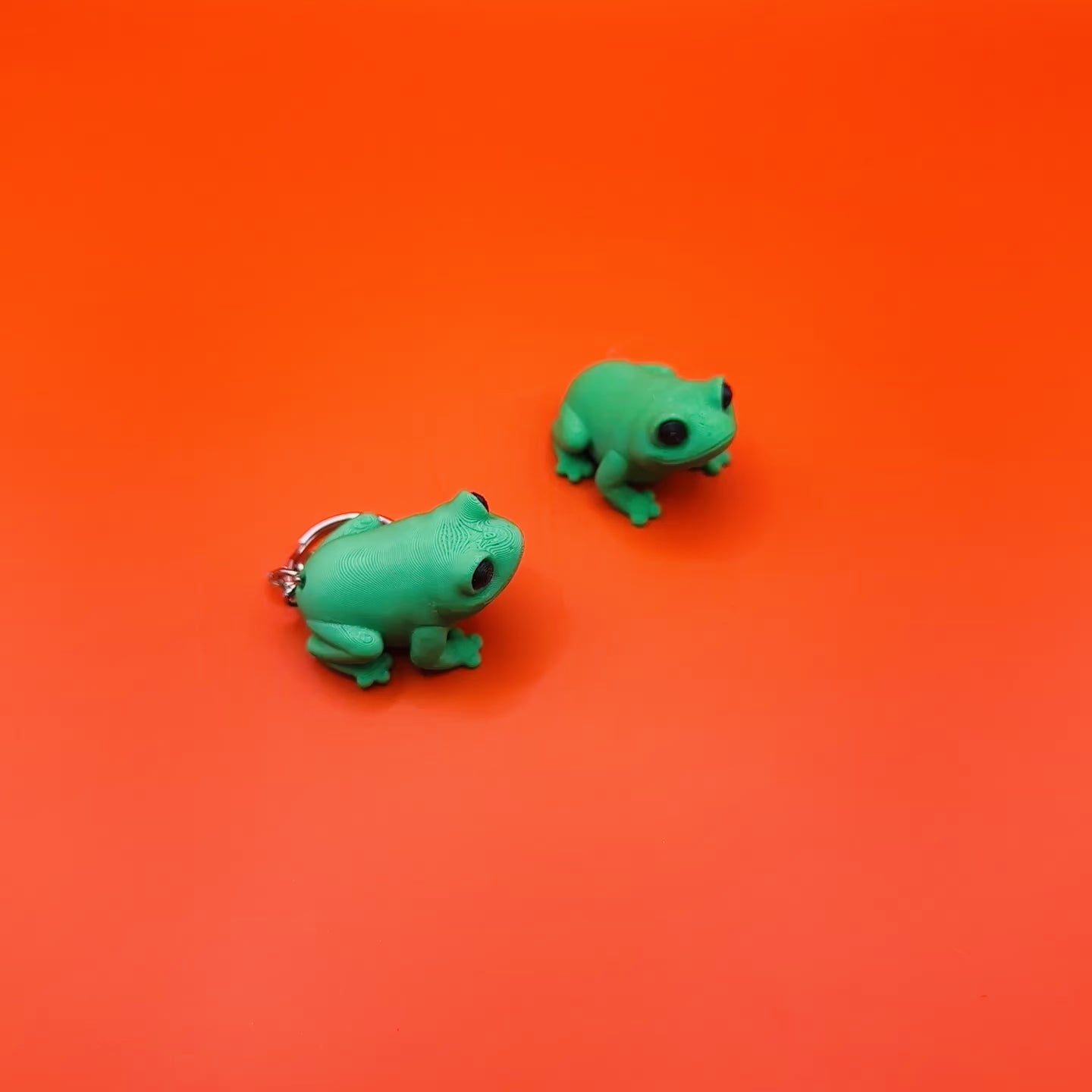 Baby Frog